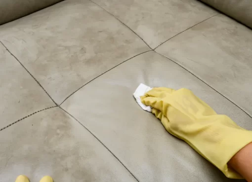 بقع الحيوانات علي الكنب