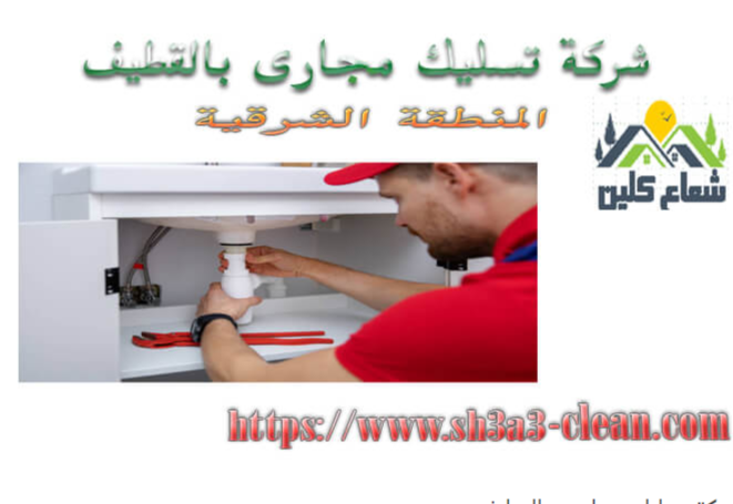 رش حشرات للمنازل بالقطيف