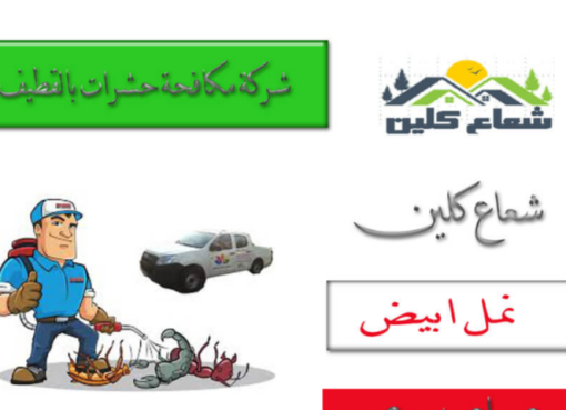 رش حشرات للمنازل بالقطيف