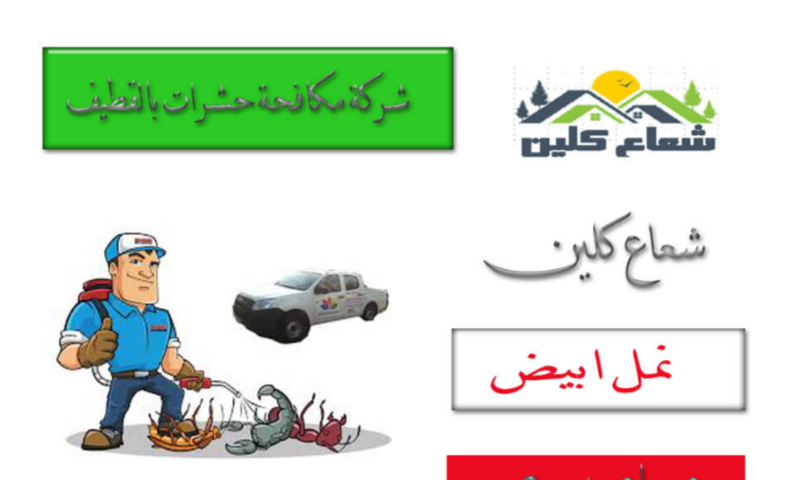 رش حشرات للمنازل بالقطيف